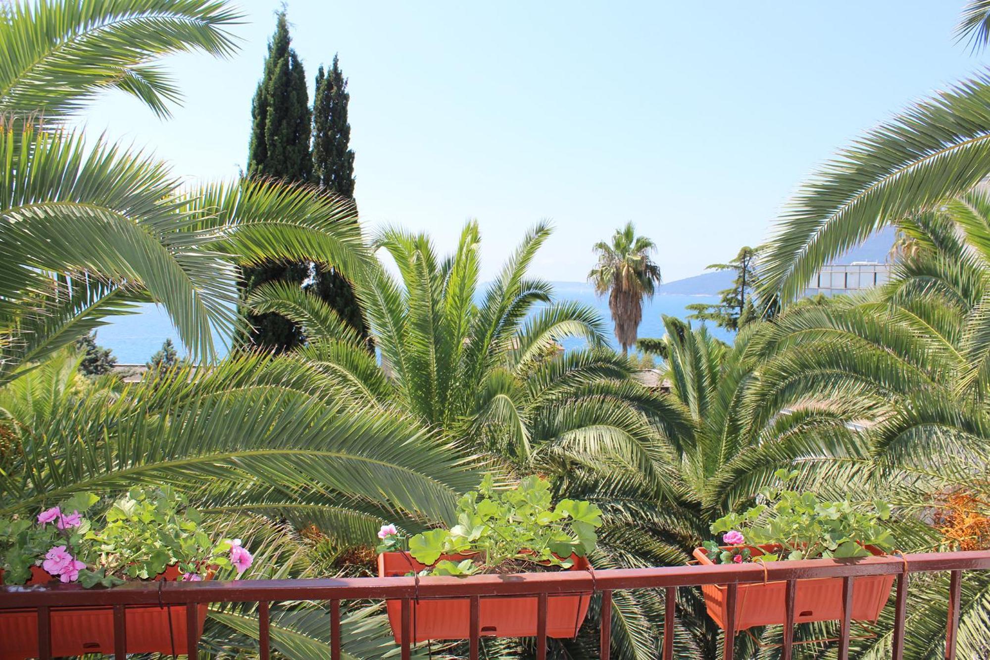 Apartmani I Sobe Goca Χέρτσεγκ Νόβι Εξωτερικό φωτογραφία