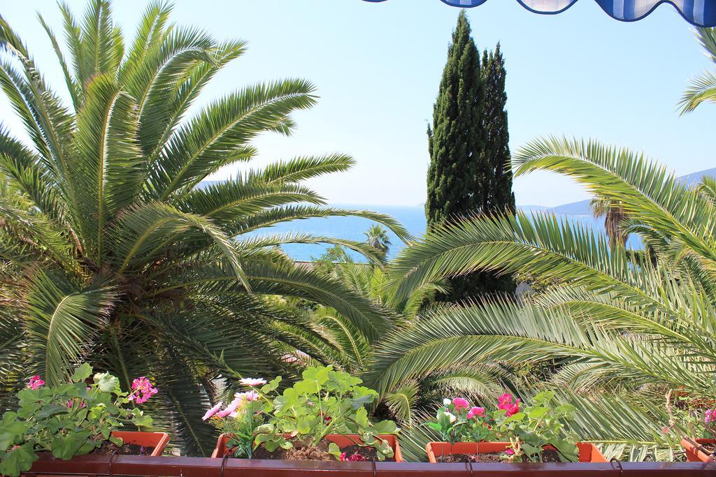 Apartmani I Sobe Goca Χέρτσεγκ Νόβι Εξωτερικό φωτογραφία