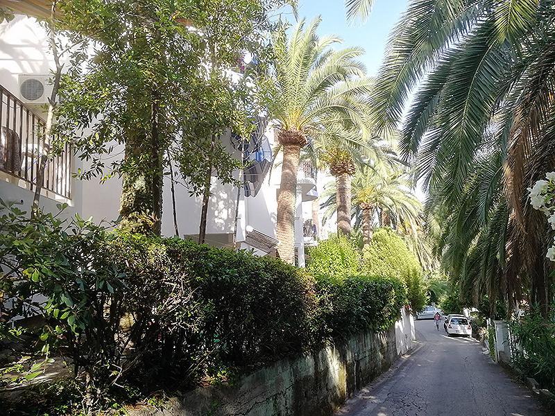 Apartmani I Sobe Goca Χέρτσεγκ Νόβι Εξωτερικό φωτογραφία