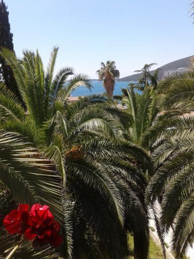 Apartmani I Sobe Goca Χέρτσεγκ Νόβι Εξωτερικό φωτογραφία